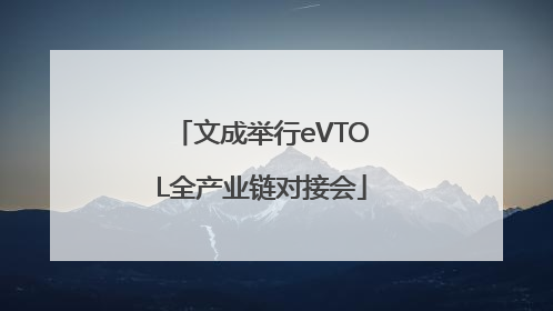 文成举行eVTOL全产业链对接会